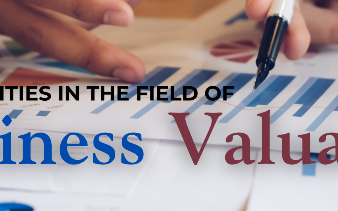 Webinar – Academy of Certified Valuators and Analysts (ACVA)